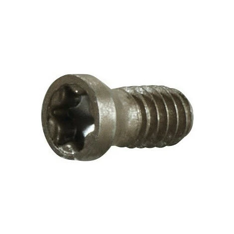 FP Vis De Serrage Taille T5 Pour Taille Du Panneau APKT...06 M2 Ad. à Fraise En Bout/2 Tailles/de Viss. PROMAT 1 FP Vis De Serrage Taille T5 Pour Taille Du Panneau APKT...06 M2 Ad. à Fraise En Bout/2 Tailles/de Viss. PROMAT